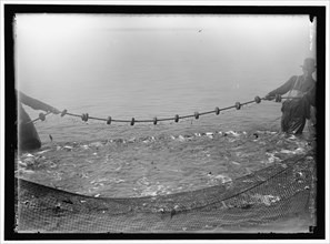 Net fishing, between 1909 and 1923.