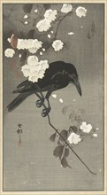 Crow with cherry blossom. Private Collection.