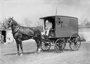 Horse Shows. Horse And Wagon, 1911.