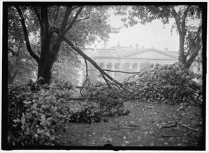 Storm Damage, between 1913 and 1918.