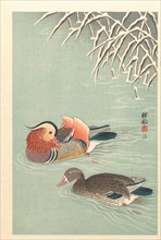 Mandarin ducks, 1925-1936. Private Collection.