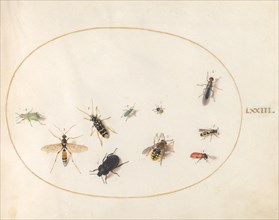 Plate 73: Ten Insects, c. 1575/1580.