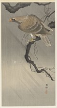 Eagle on branch, 1900-1910. Private Collection.