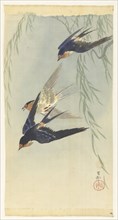 Three birds in full flight. Private Collection.