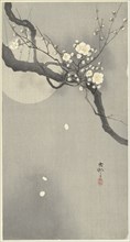 Plum blossom and full moon. Private Collection.