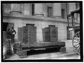 Packing Trunks, between 1909 and 1914. USA.
