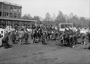 Horse Shows - Unidentified Entrant, 1912.