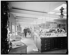 Treasury Dept. lab, between 1910 and 1920.