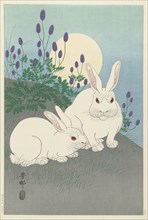Rabbits at full size, 1920-1930. Private Collection.