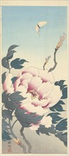 Peony with butterfly, 1925-1936. Private Collection.