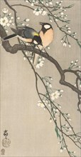 Tits on Cherry Branch, 1900-1910. Private Collection.
