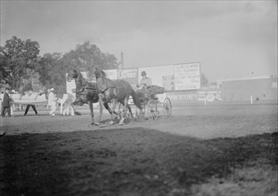 Horse Shows - E.T. Stotesbury Driving, 1910.