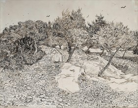 Oliviers à Montmajour, 1888. Creator: Gogh, Vincent, van (1853-1890).