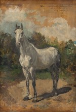 Bachelor, artist's horse, 1871.