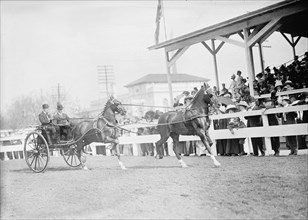 Horse Shows - John Roll Mclean Entries, 1911.