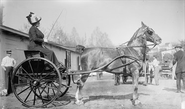 Horse Shows - Mrs. C.W. Watson Driving, 1911.