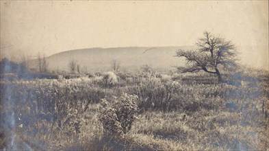 Landscape of a field with hill in background, c1900.