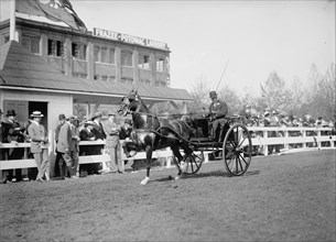 Horse Shows. Unidentified Men, Driving, 1911.
