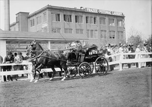 Horse Shows. Unidentified Men, Driving, 1911.