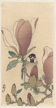 Sparrow on blooming magnolia branch. Private Collection.