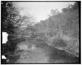Rock Creek Park scenes, between 1910 and 1920. Creator: Harris & Ewing.