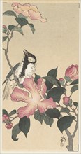 Great tit on branch with pink flowers. Private Collection.