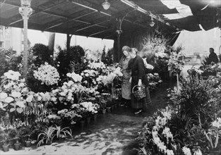 Flower market, Quai de la Cité, 1925. Creator: Frances Benjamin Johnston.