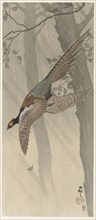 Flying pheasant, Between 1900 and 1915. Private Collection.