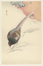 Pheasant couple in the snow, 1925-1936. Private Collection.