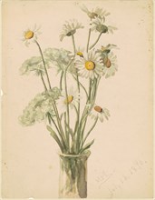 Daisies and Queen Anne's Lace, 1890.