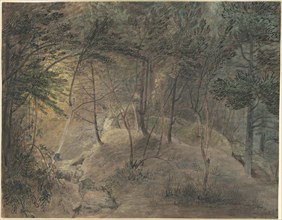 View from the Springhouse at Echo, c. 1808.