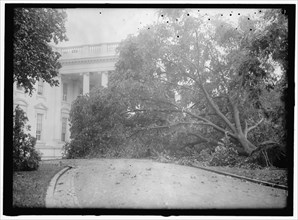 White House - storm damage, between 1913 and 1918.