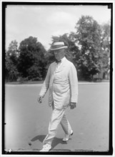 Senator Charles E. Townsend, between 1913 and 1918. Creator: Harris & Ewing.