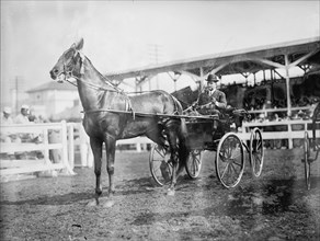 Gheen, J.O - Driving 'Boscobel' In Horse Show, 1912.