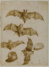 Study of bats and open box, 1790. Creator: Tiepolo, Giandomenico (1727-1804).