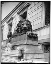 Lions at Corcoran Art Gallery, between 1910 and 1920.