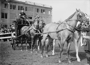 Horse Shows - Adolphus Busch, 3rd of St. Louis, 1911.