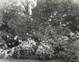 Unidentified garden, between 1910 and 1935.