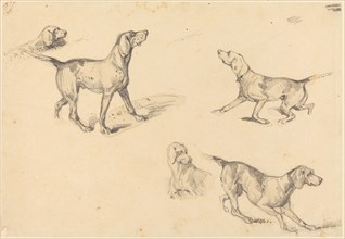 Five Studies of a French Pointer, 1825/1826.