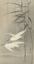 Two egrets in flight, Between 1910 and 1920. Private Collection.