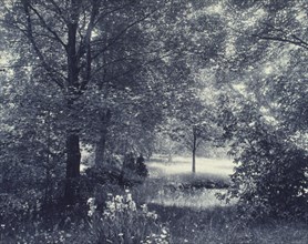 Landscape of trees and meadow with irises in foreground, c1900.