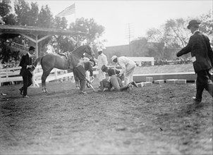Horse Shows - Victor Mather Falling From 'Pagan Kin', 1912.