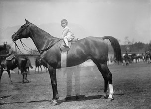 Horse Shows - Baby Vincent Mclean On 'Indian Flower', 1912.