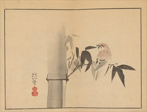 Sakai Hoitsu gajo (Sakai Hoitsu painting album). Private Collection.