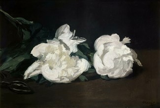 Branche de pivoines blanches et sécateur, 1864. Creator: Manet, Édouard (1832-1883).