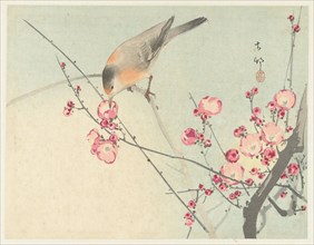 Songbird on blossom branch, Between 1910 and 1920. Private Collection.