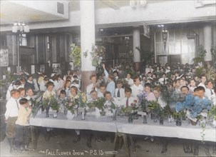 The fall flower show at P.S. 15, Manhattan, c1921.