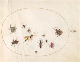 Plate 72: Shield Bug, Wasp, and Other Insects, c. 1575/1580.