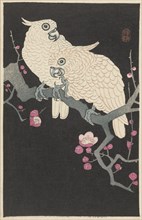 Two cockatoos on branch with plum blossom, 1925-1936. Private Collection.