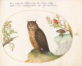 Animalia Volatilia et Amphibia (Aier): Plate LIV, c. 1575/1580.